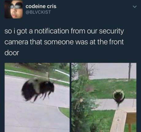 its the bees knees