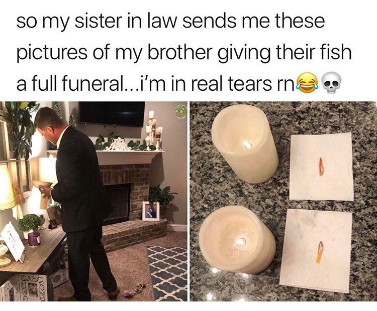 My texan friend's fish died and he had a funeral at school