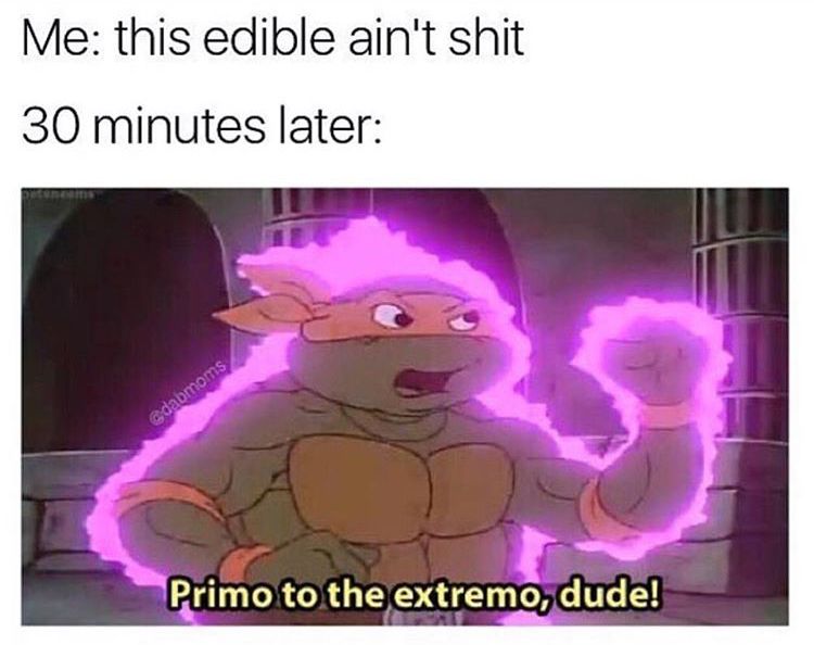 I watched TMNT as a kid, way better than the michael bay sh1t