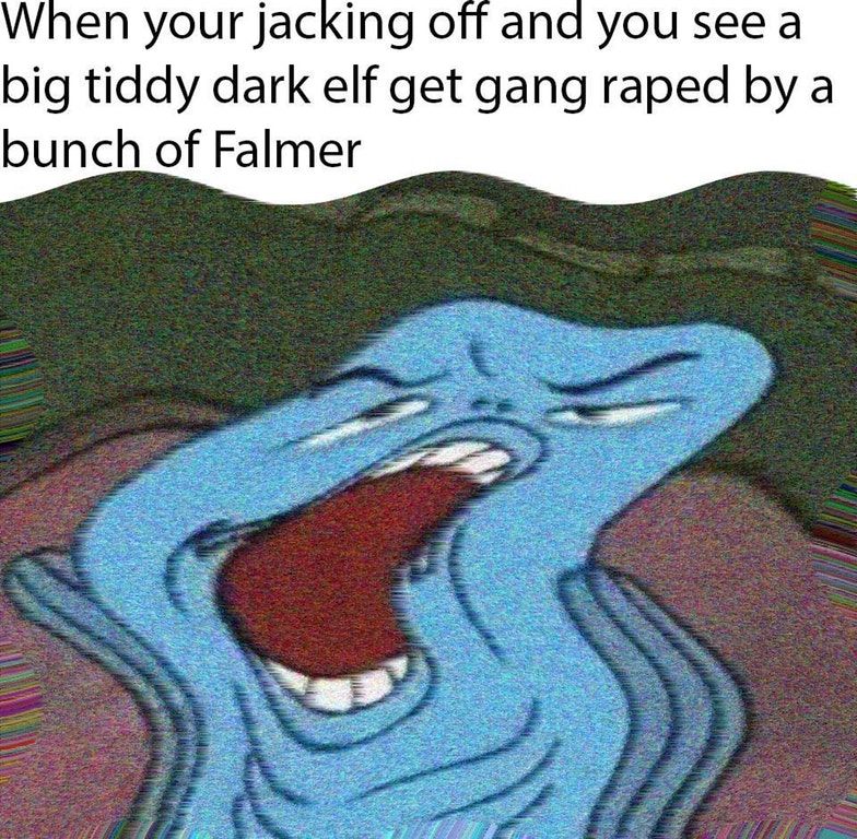 Skyrim mods