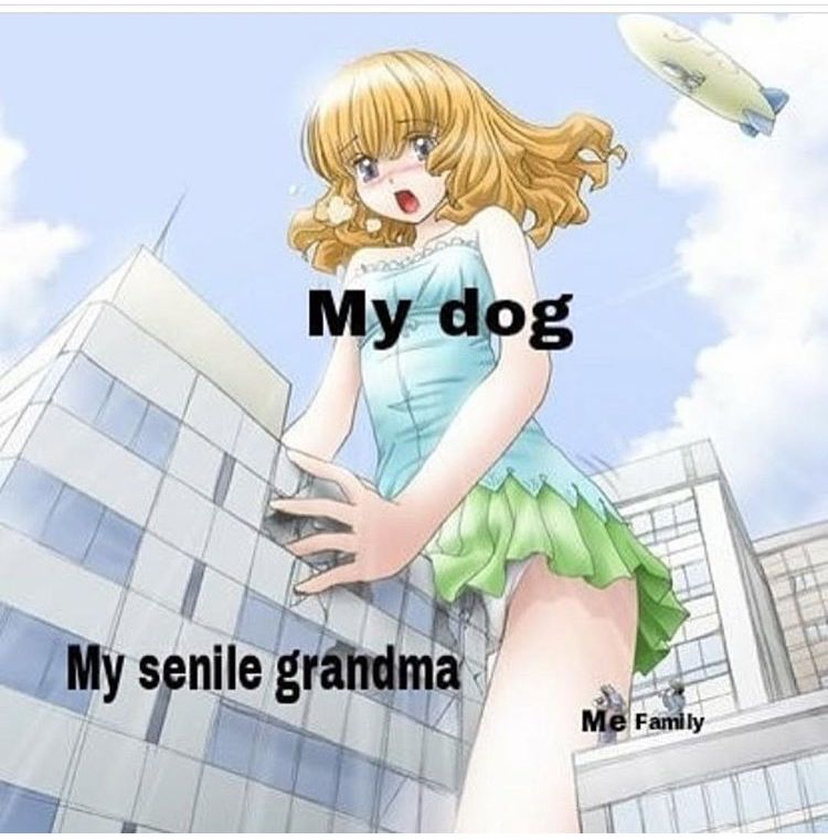 what about the blimp?