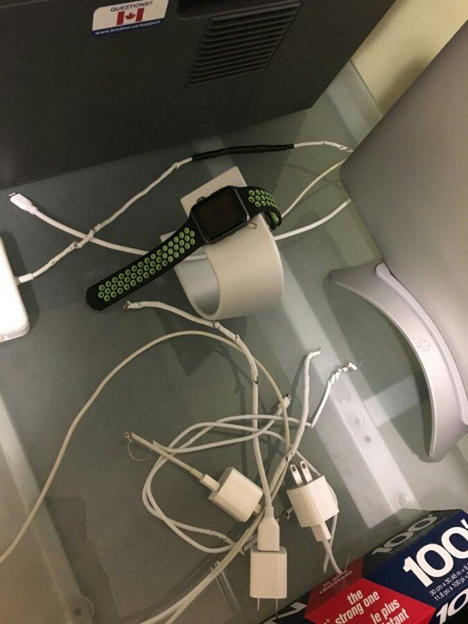 I am convinced Apple puts catnip in their cables...