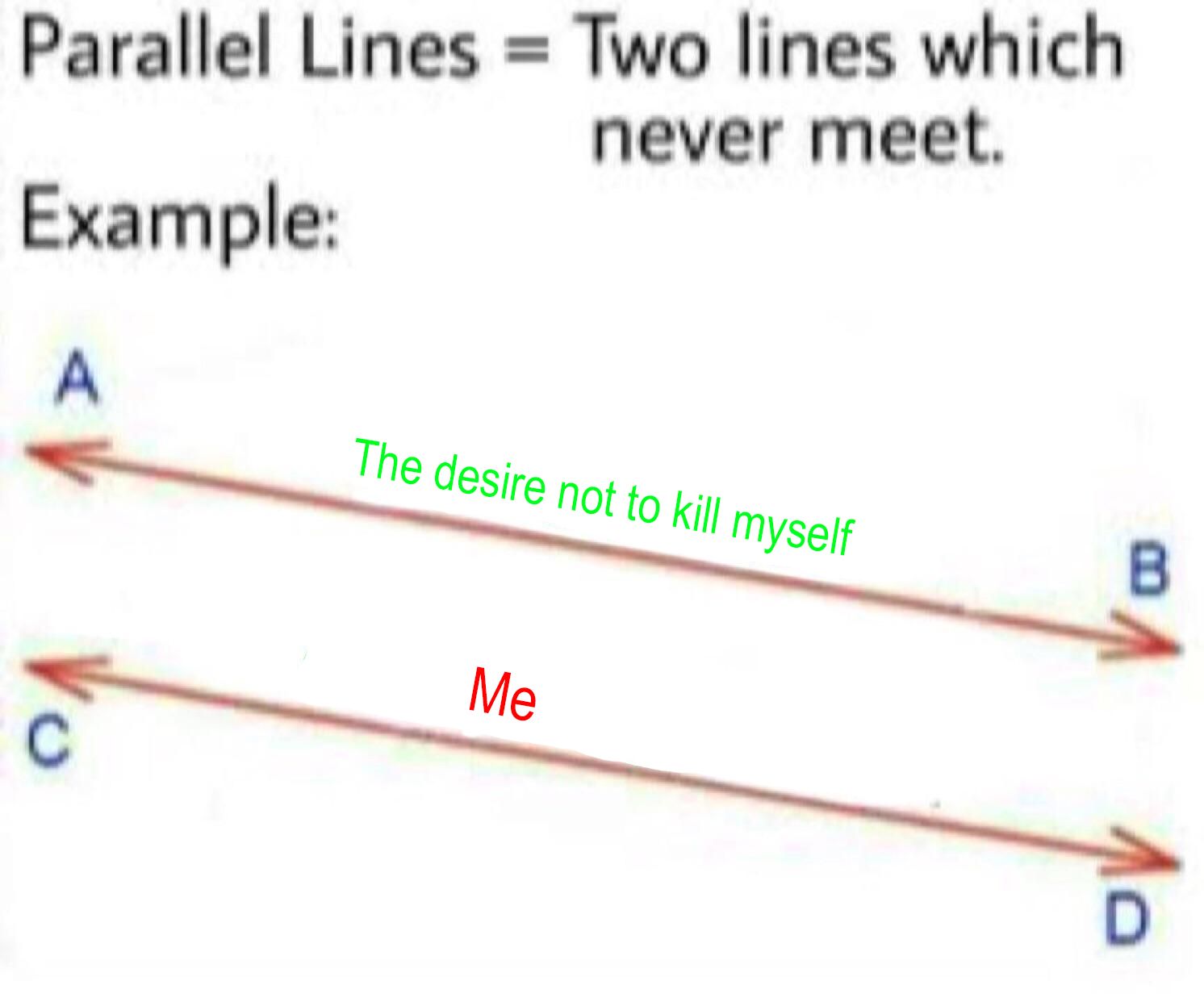 I know how to rotate text in MsPain