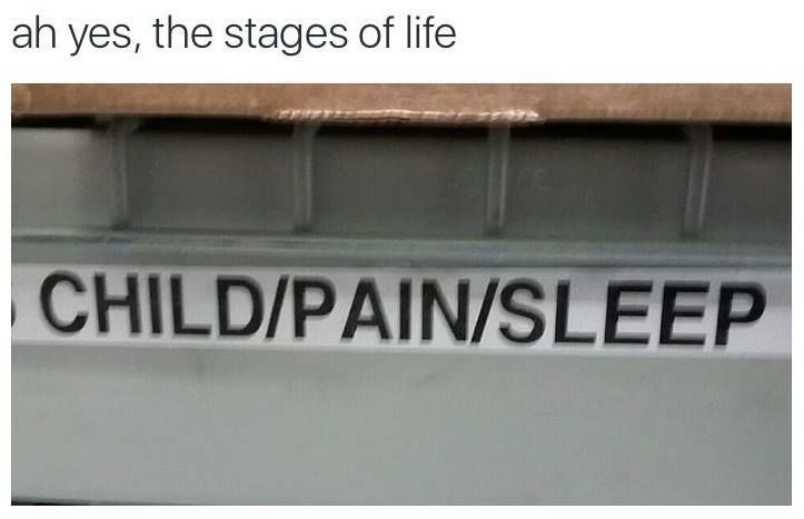 It's missing /memes/