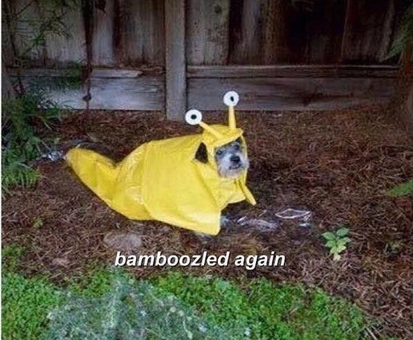 picture unrelated