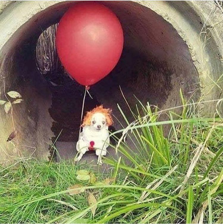 here, take it
