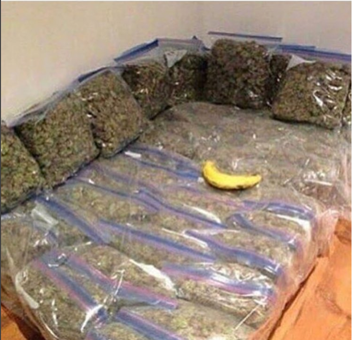 We're gonna need more bananas
