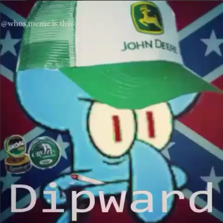 those darn sponges