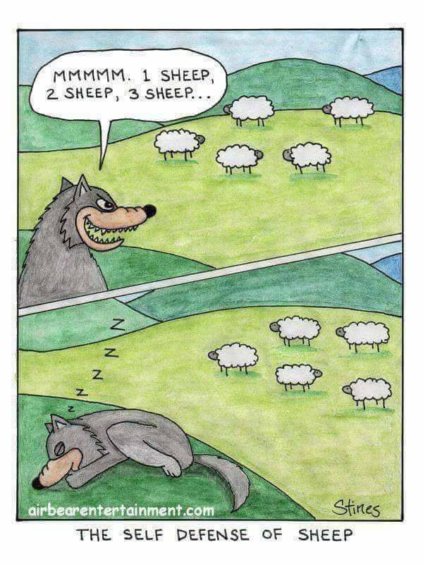 the self defense of sheep