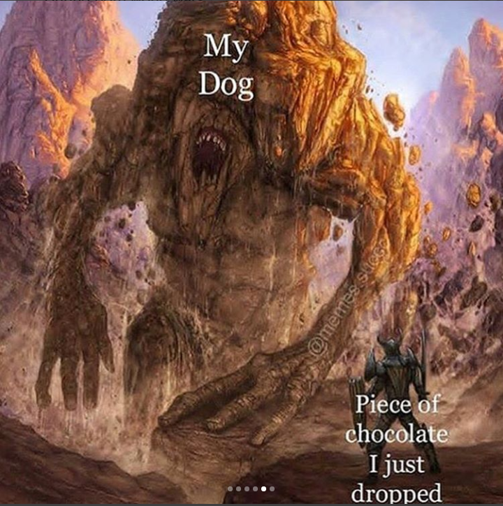 Please no fluffy