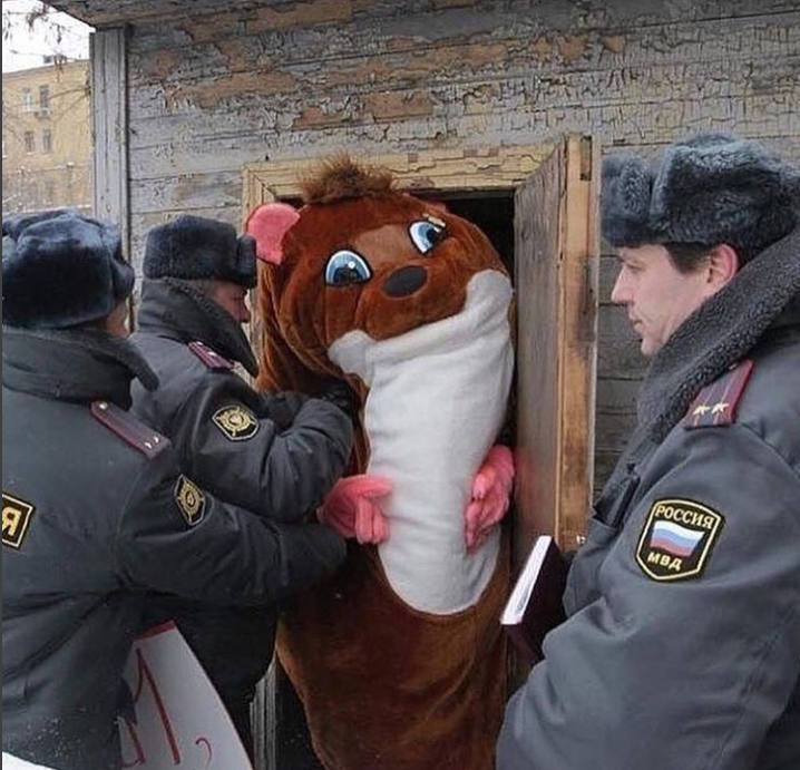 When you live in Russia but you're a furry