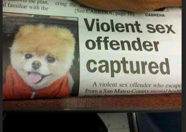 Violent sex offender