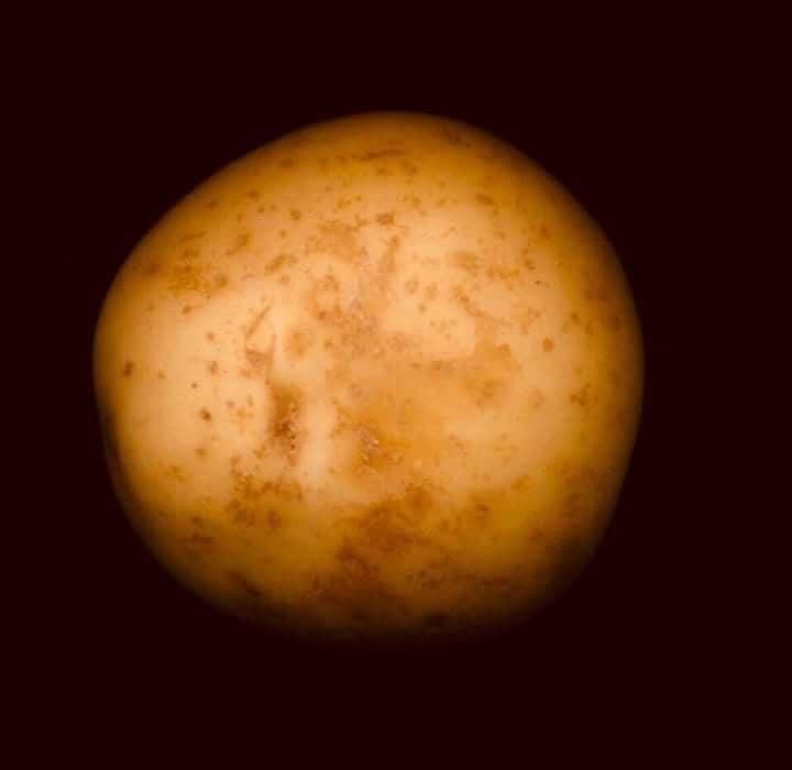 The clearest photo of the blood moon.