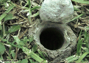 Do you see how big that creature is!?