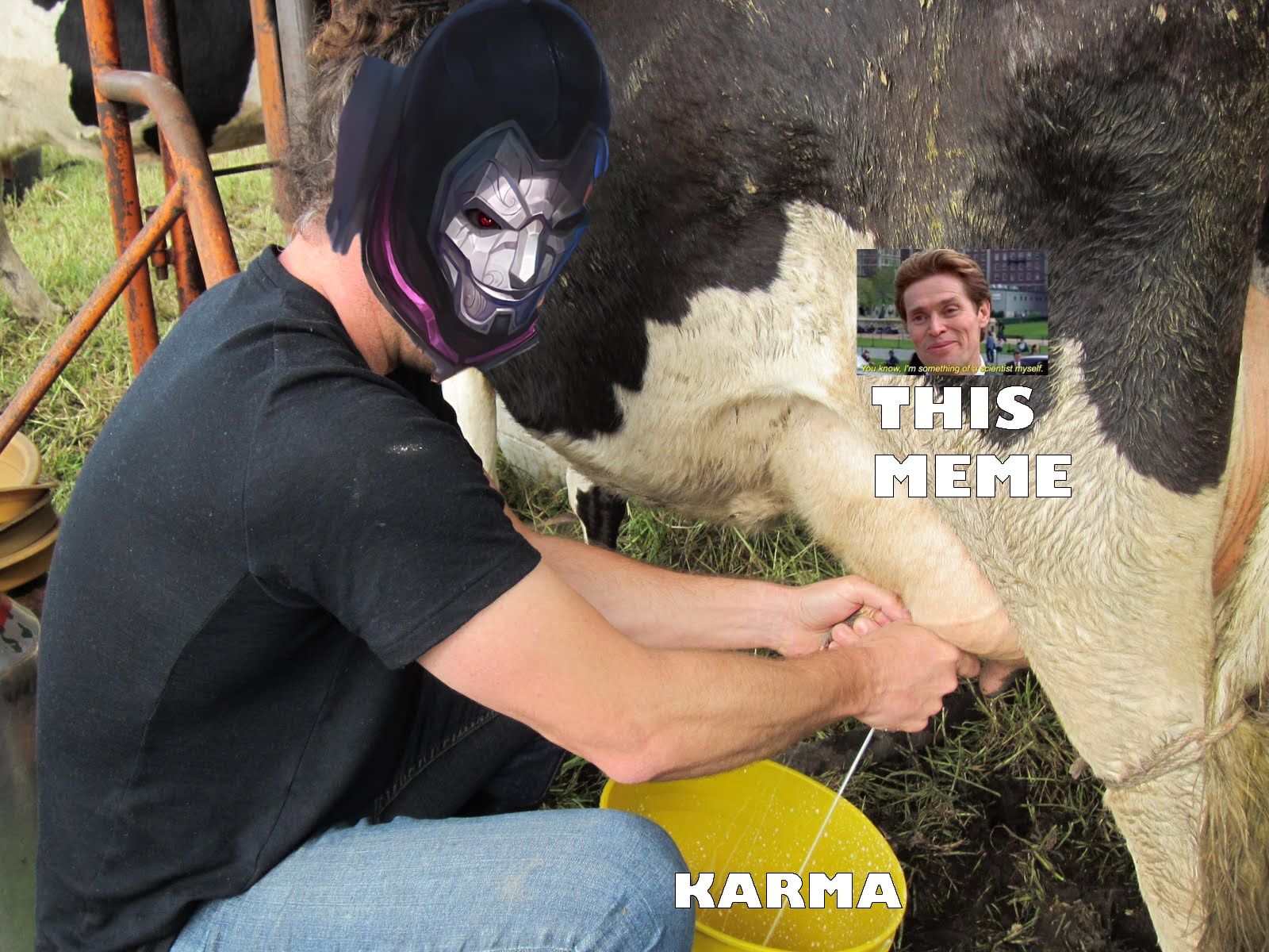 When you overuse a meme
