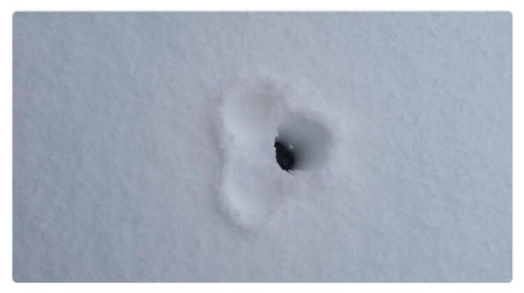 I couldn’t believe we got 4” of snow last night, I had to check and see for myself.