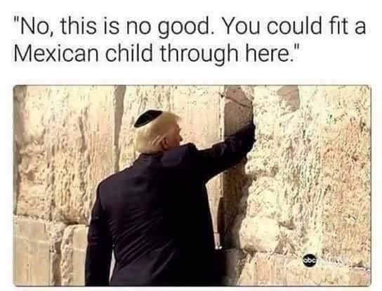 Trump inspecting his wall
