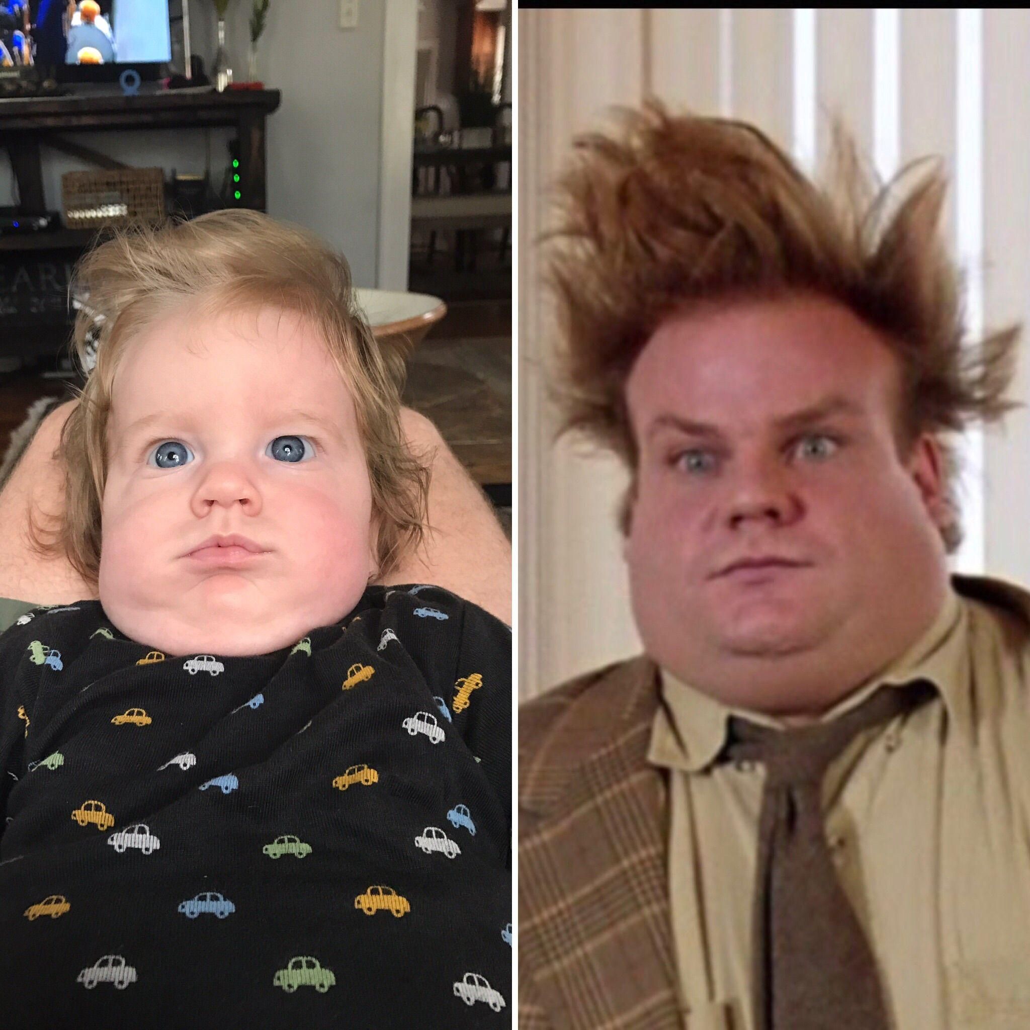 My nephew also looks like he may live in a van down by the river
