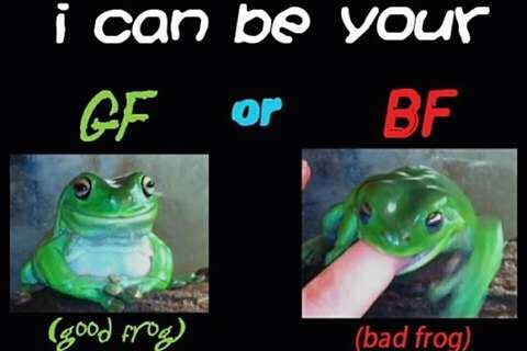 mfw no frog