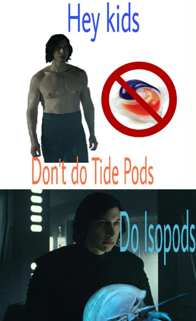 kylo ren's psa