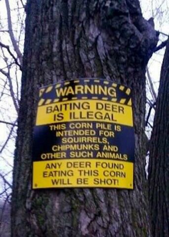 Baiting deer is illegal!