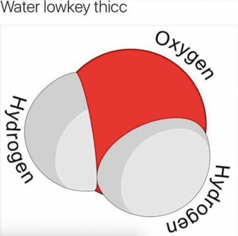damn H2O