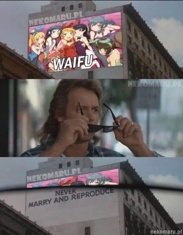please