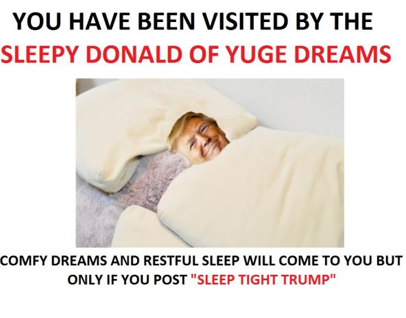 Remember me for my ideals