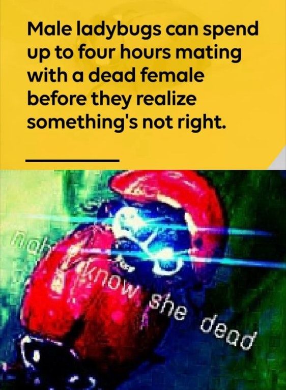 dirty dirty deed