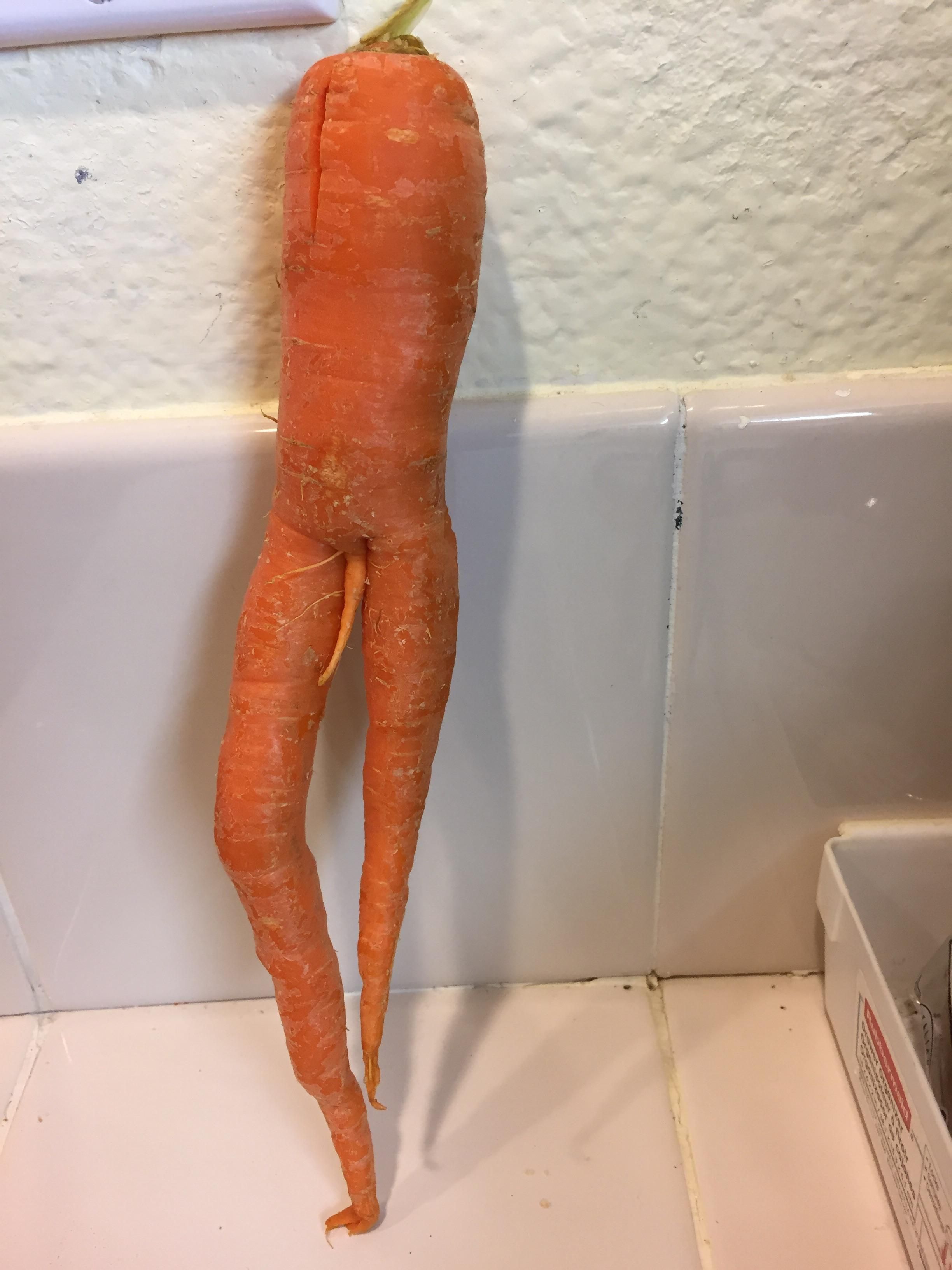 One unique carrot