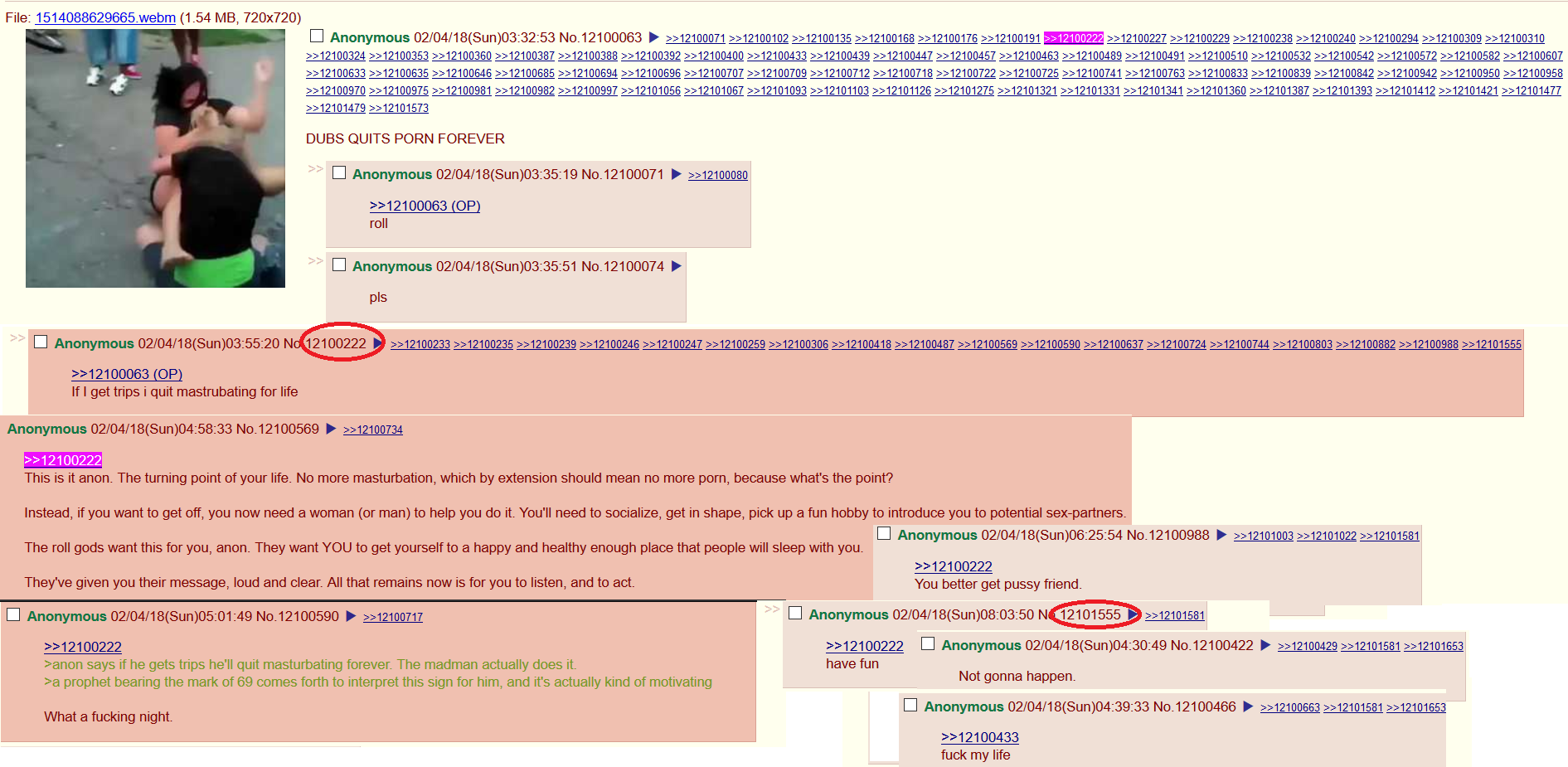 So I came to /gif/ tonight to masturbate...