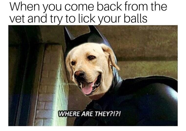 Not cool dude