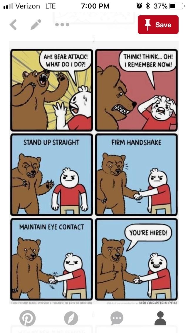 In case of bear attack