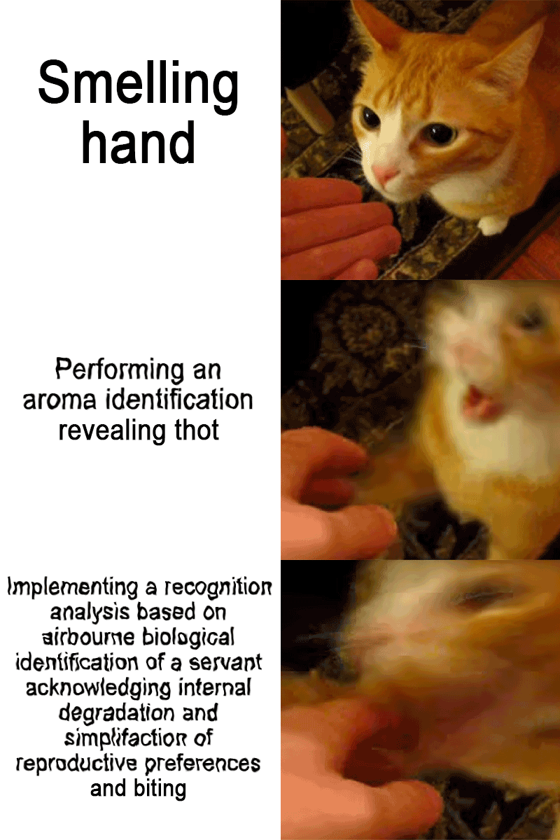 Social interaction reasoning behind human-feline interaction revealed and made public to the masses