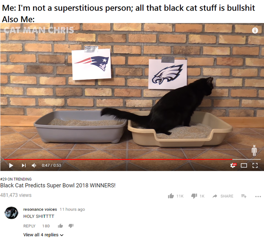 i actualy watched that vid without even knowing that its superbowl stuff