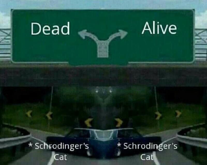 AAAA