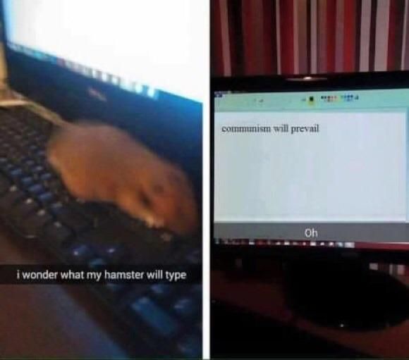 Hamster and sickle