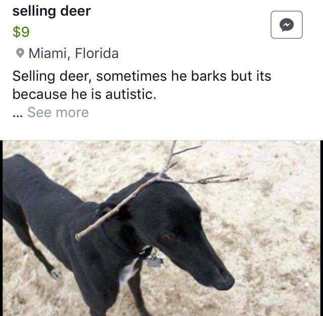 $9 deer