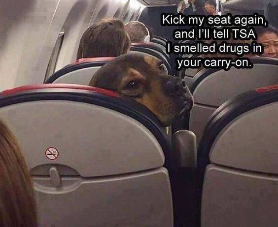 Kick my seat again...