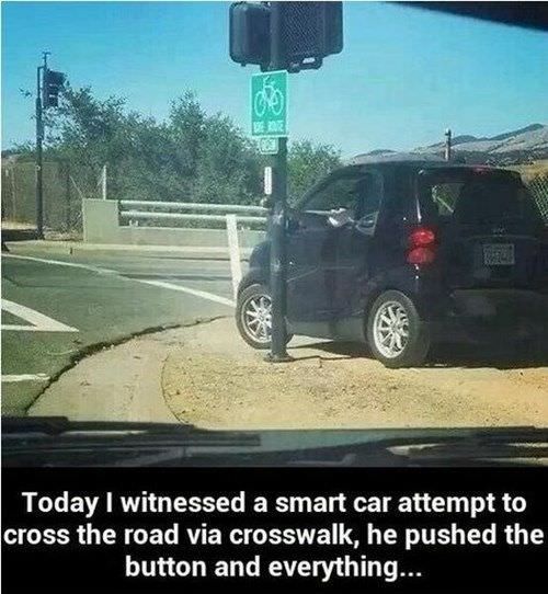 The only way to cross a street safely.