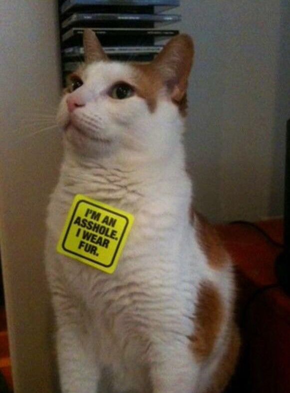 How to properly use PETA's stickers