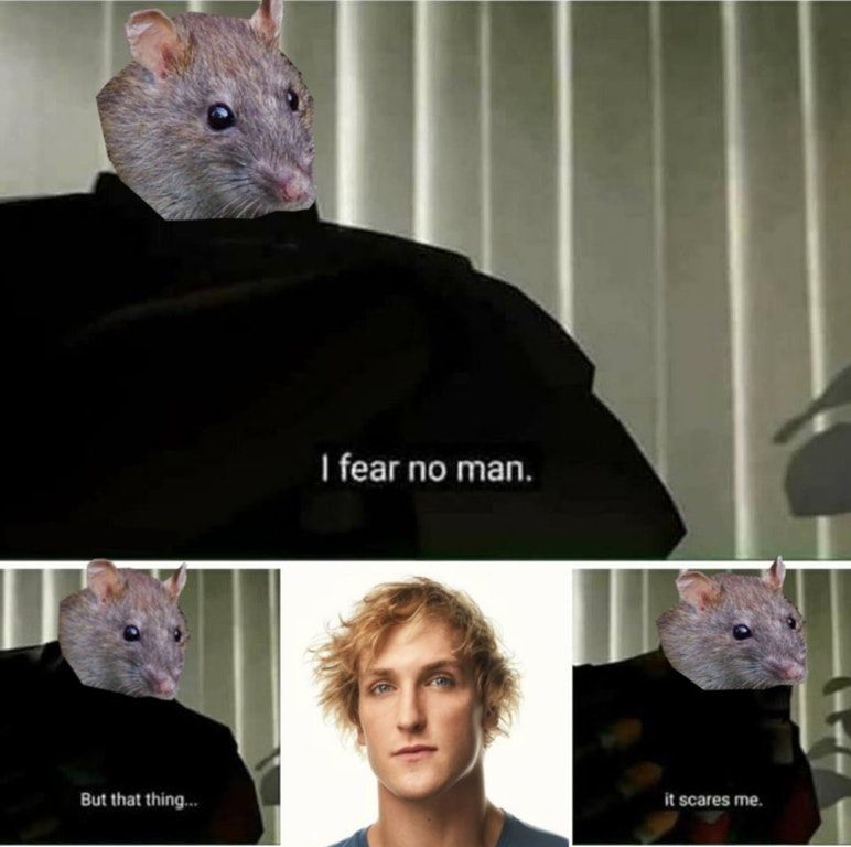 Even when it's dead