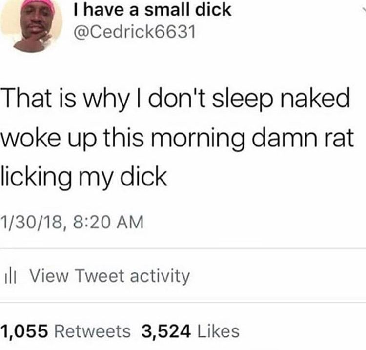 that's why logan tasered that rat