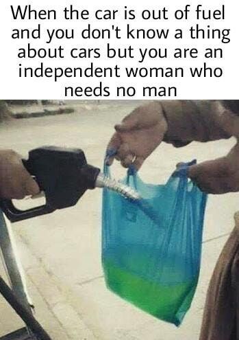 she can do it alone