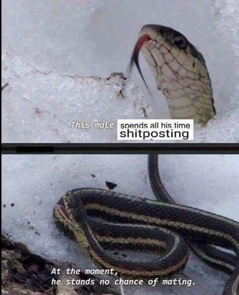 Very Relatable