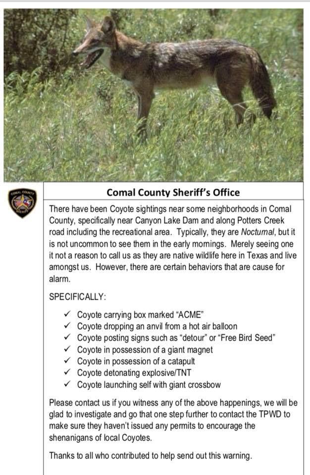 Comal County, Texas Sheriff: Coyotes are ok. Coyotes carrying "ACME" boxes? Not ok. Coyotes blowing stuff up? Not ok. Coyotes posting signs? Definitely not ok.