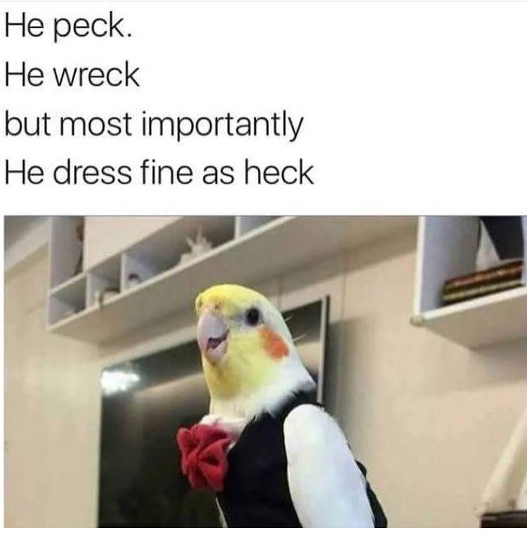 and he likes shrek