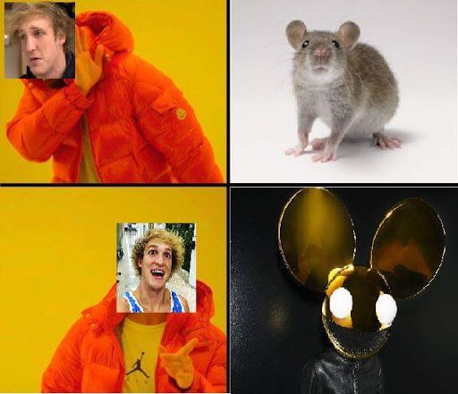 dedr4t