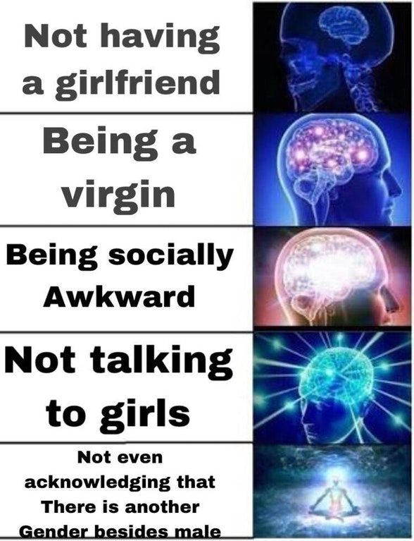 I'm gayy
