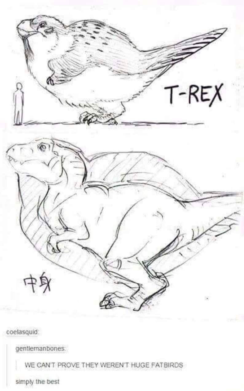 T-birb